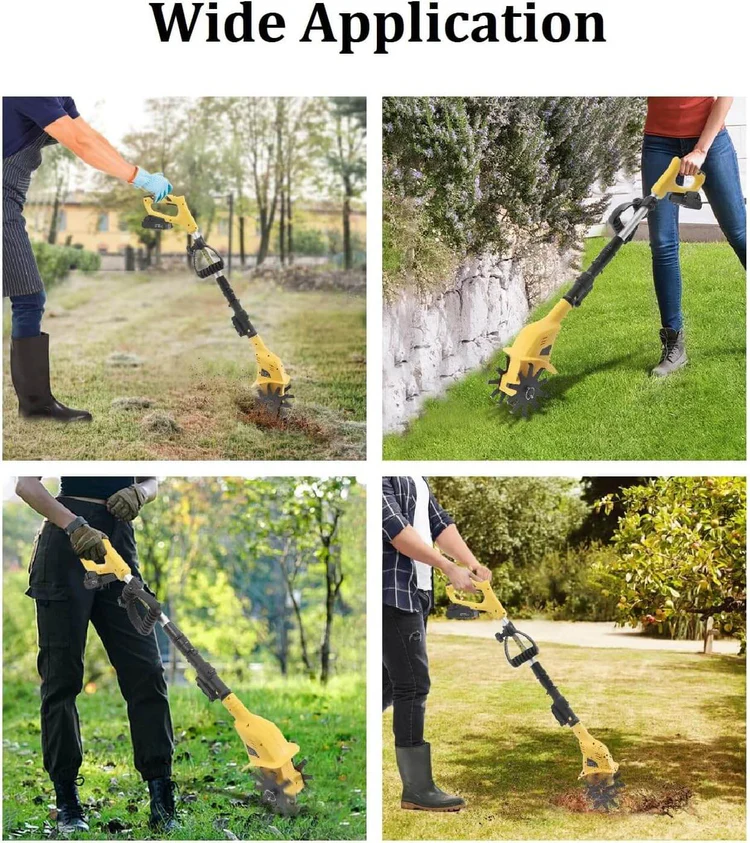 Pasted Image